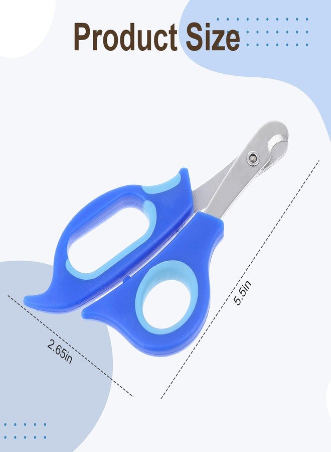 Qiuruoo Bearded Dragon Nail Clippers,Stainless Steel Bearded Dragon Accessories,Professional Grooming pet Tools Including Nail File and Scissors for Small Reptiles,Chameleon,Cats,Dogs,Iguana - Image 2